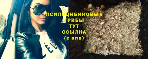 спиды Алексин