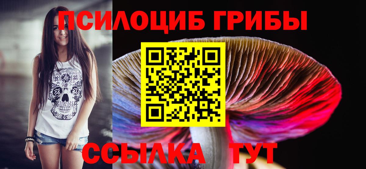 Псилоцибиновые грибы ЛСД  Вход с VPN  Псилоцибиновые грибы MAGIC MUSHROOMS  Анжеро-Судженск 