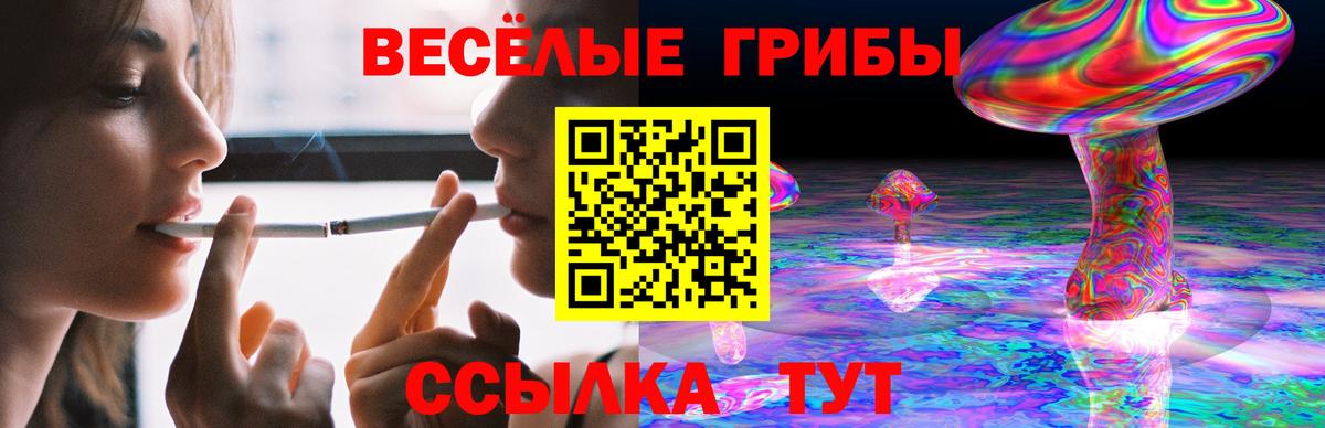 Галлюциногенные грибы Psilocybe  Анжеро-Судженск 